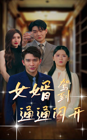 女婿驾到,通通闪开(34集) 女婿驾到,通通闪开(34集)流畅播放免费看