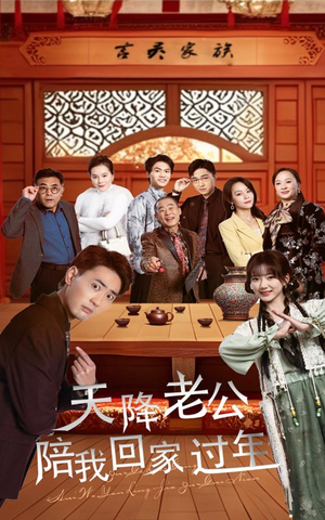 天降老公陪我回家过年(60集) 天降老公陪我回家过年(60集)大结局一气呵成