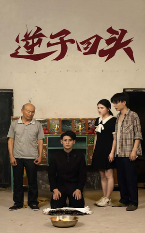 逆子回头(33集) 逆子回头(33集)评价怎么样