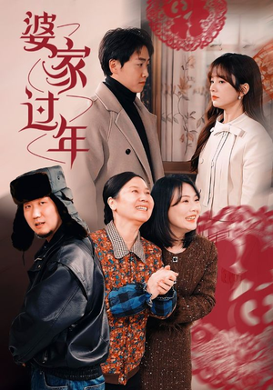 婆家过年（71集）全季一次看完