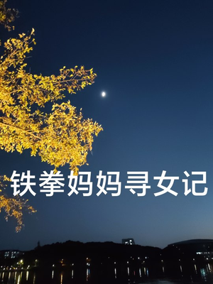 铁拳妈妈寻女记(69集) 铁拳妈妈寻女记(69集)短剧太精彩