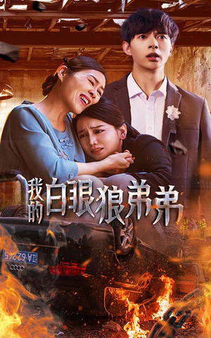 我的白眼狼弟弟(69集) 我的白眼狼弟弟(69集)哪个网站可以看