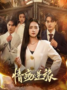 情殇逆旅(90集) 情殇逆旅(90集)无需充值尽情看