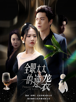 全职太太的逆袭(80集) 全职太太的逆袭(80集)推荐好短剧