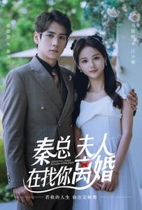 秦总,夫人在找你离婚(79集) 秦总,夫人在找你离婚(79集)在线免费观影