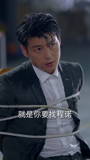 惹不起的人(91集) 惹不起的人(91集)经典老剧免费看