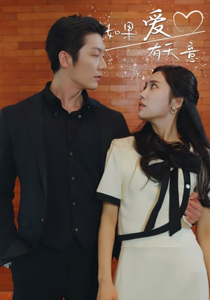 如果爱有天意(80集) 如果爱有天意(80集)爆款短剧推荐