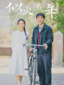 似火流年（100集）红果短剧看全集