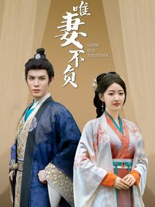 唯妻不负(80集) 唯妻不负(80集)热门短剧又来了