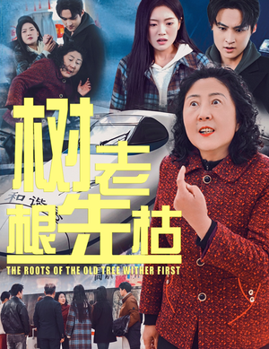 树老根先枯(33集) 树老根先枯(33集)免费版