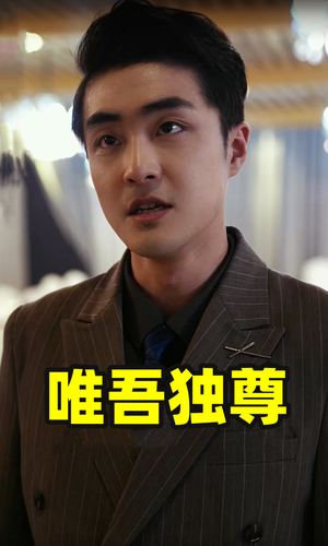 唯吾独尊(96集) 唯吾独尊(96集)熬夜追短剧