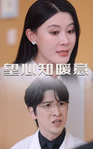 望心知暖意(31集) 望心知暖意(31集)最后的大结局