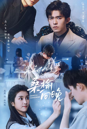 桑榆向晚(65集) 桑榆向晚(65集)我真的爱了