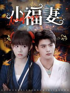 小福妻(62集) 小福妻(62集)最火短剧热播