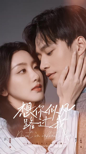 想你似风路过我(40集) 想你似风路过我(40集)剧好看短剧推荐