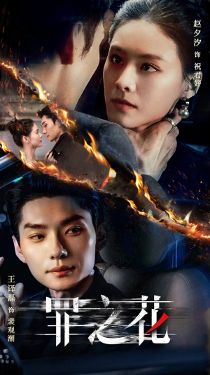 罪之花(56集) 罪之花(56集)无需充值尽情看