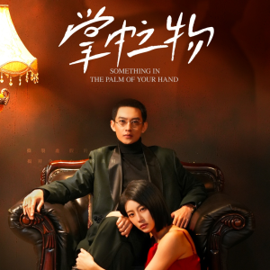 掌中之物（62集）短剧解说全集