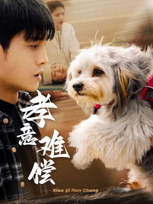 孝意难偿(32集) 孝意难偿(32集)真的太好看了