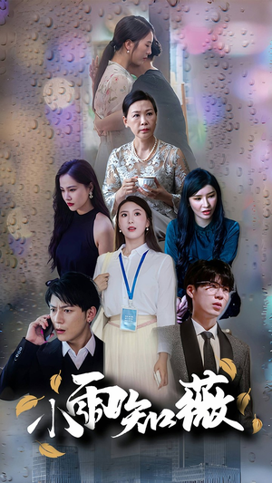 小雨知薇（80集）看到大结局