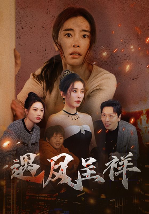 遇凤呈祥(50集) 遇凤呈祥(50集)在线看