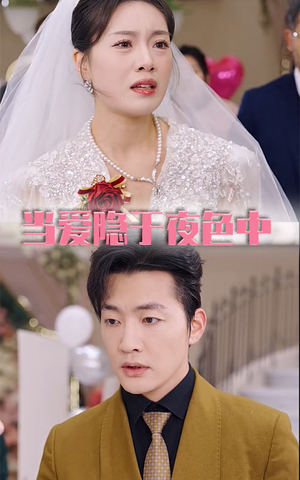 当爱隐于夜色中（37集）一口气看完全集