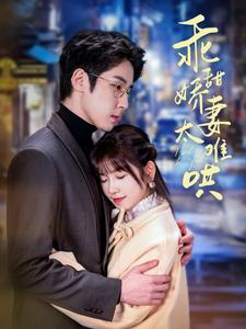 乖甜娇妻太难哄（100集）经典老剧免费看