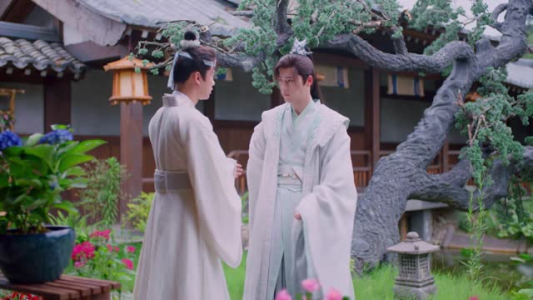 红颜无双（24集）精彩的短剧