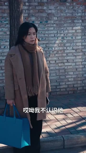 命中注定再相逢(39集) 命中注定再相逢(39集)免费版