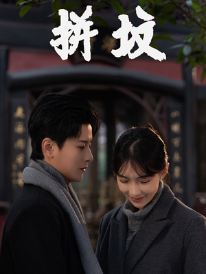 拼坟(62集) 拼坟(62集)经典老剧免费看