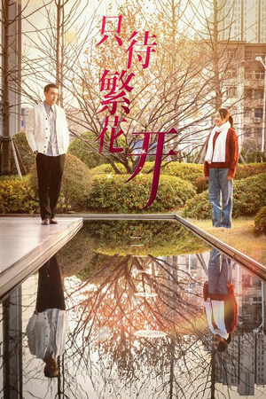 只待繁花开(35集) 只待繁花开(35集)精彩短剧随心推