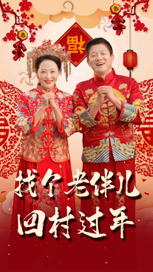 找个老伴儿回村过年（58集）一共多少集