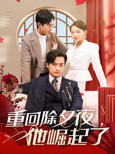 重回除夕夜他崛起了(89集) 重回除夕夜他崛起了(89集)短剧推荐来了