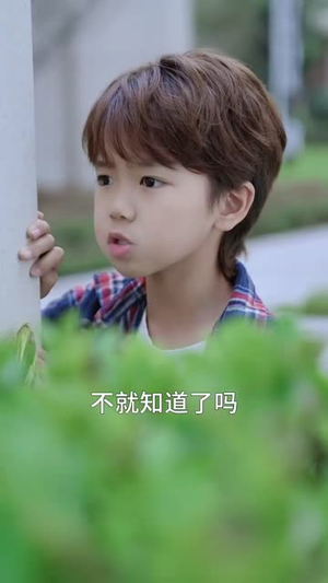 无言寸草心(60集) 无言寸草心(60集)全部免费看全集