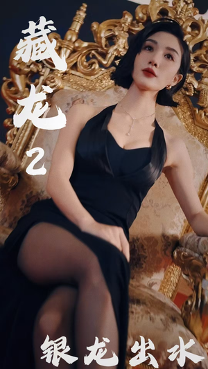 藏龙2银龙出水（35集）番茄短剧免费看