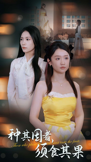 种其因者,须食其果(45集) 种其因者,须食其果(45集)80到100集