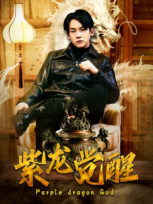 紫龙觉醒(89集) 紫龙觉醒(89集)全集