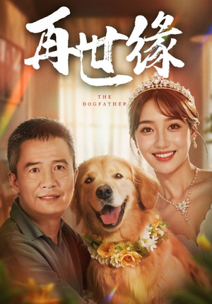 再世缘(41集) 再世缘(41集)海量资源免费看