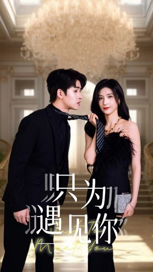 只为遇见你(88集) 只为遇见你(88集)在线看免费版
