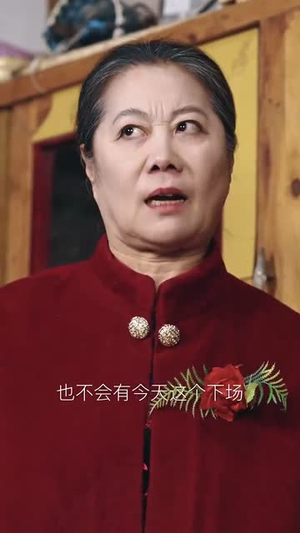 妄村(30集) 妄村(30集)在线播放