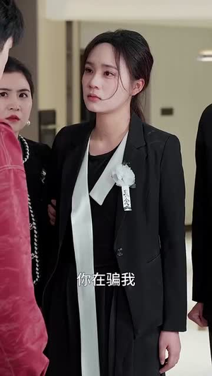 错把亲疏分你我（30集）高清无码免费看