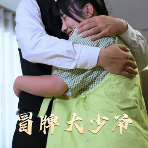 冒牌大少爷（81集） 短剧小说在线看