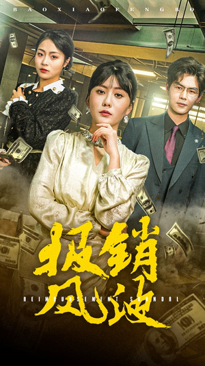 报销风波(54集)  报销风波(54集) 第一季