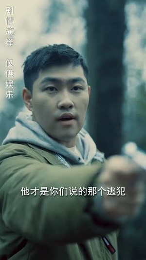 身份盲区(12集)  身份盲区(12集) 短剧太好看