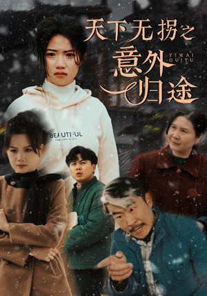 天下无拐之意外归途(61集) 天下无拐之意外归途(61集) 全网短剧抢先看