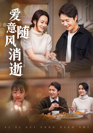 爱意随风消逝（47集） 精彩好看的短剧