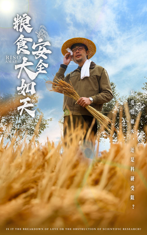 粮食安全大如天(43集)  粮食安全大如天(43集) 短剧排行榜