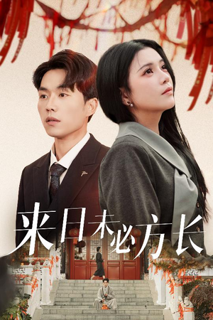 来日未必方长(29集)  来日未必方长(29集) 在线观看