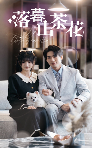 落幕山茶花(50集)  落幕山茶花(50集) 精彩短剧来了