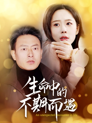 生命中的不期而遇(35集)  生命中的不期而遇(35集) 好看又上头短剧
