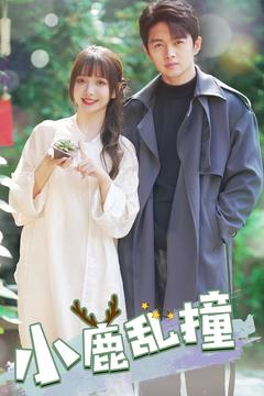 小鹿乱撞（40集） 全集一网打尽